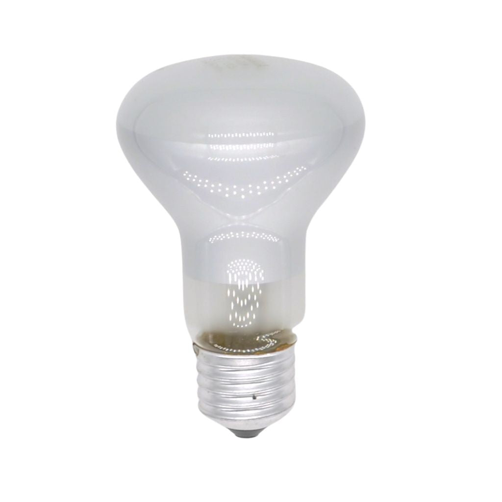 Incandescent light store bulb 40w