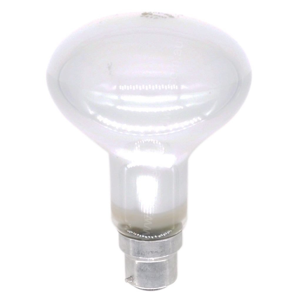 100w incandescent deals