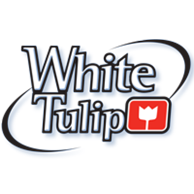 White Tulip