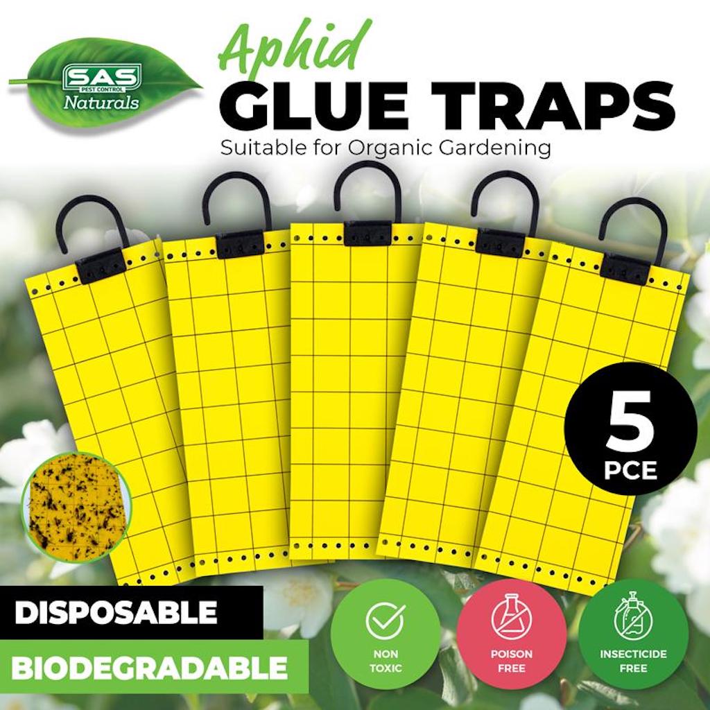 Aphid Glue Traps Non Toxic 5Pcs 157501