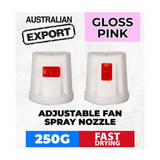 Australian Export Gloss Pink Enamel Spray Paint 250g