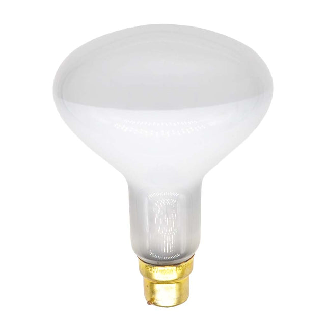 Dazeno R95 Incandescent Reflector Light Bulb B22 260V 100W