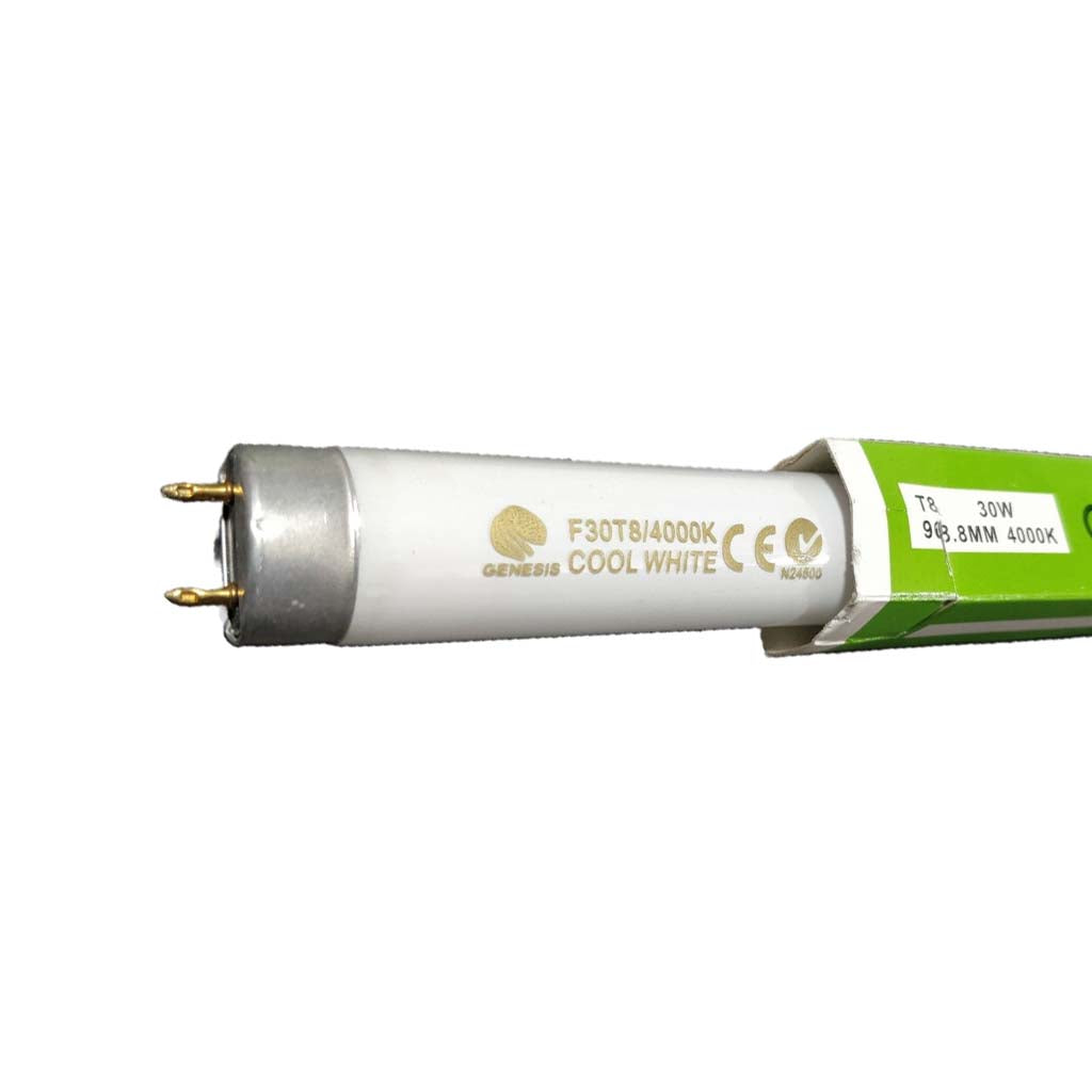 GENESIS T8 Fluorescent Tube Cool White 30W 900mm