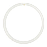 Nelson T5 Circular Fluorescent G10q 40W 295mm C/W M5R40NC