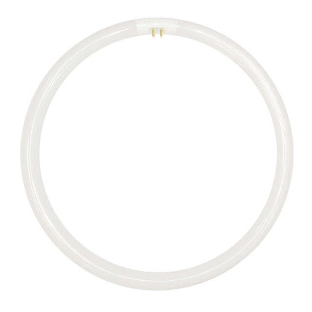 FSL T5 Circular Fluorescent G10q 240V 40W 290mm D/L 254164