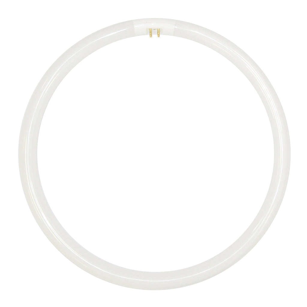 Lusion T5 Circular Fluorescent G10q 22W 184mm C/W 30506