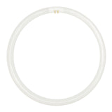 Lusion T5 Circular Fluorescent G10q 22W 184mm C/W 30506