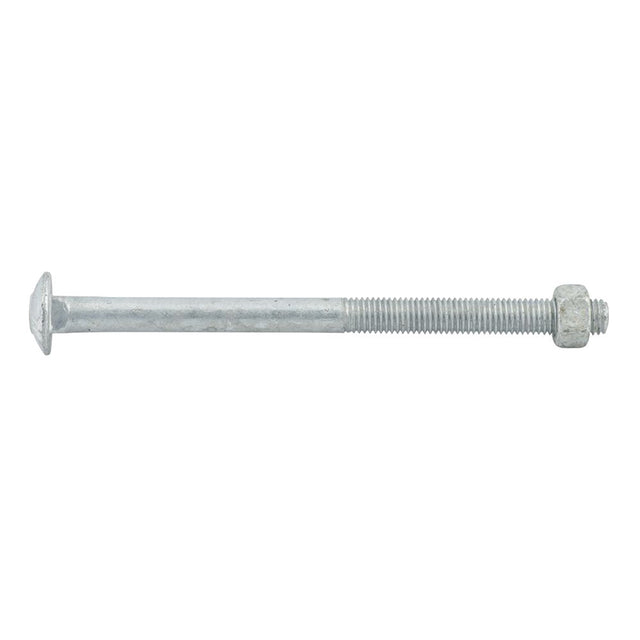 Zenith Cup Head Bolts & Nuts Hot Dipped Galvanised M12X200mm